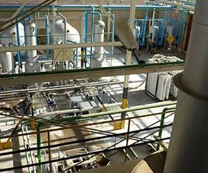 Natriumsilikaatti kasvi